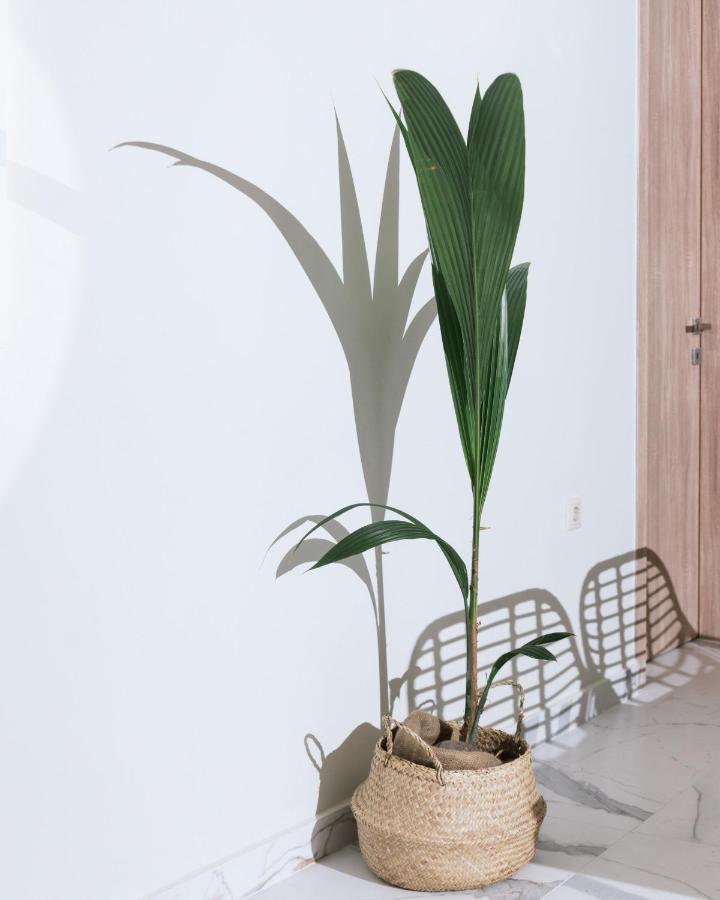Arbona Apartment Ι Vóroi 외부 사진